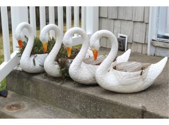 Collection Of Plastic Swan Outdoor Planters