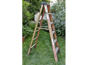 Werner 6 Foot Ladder