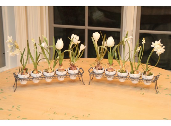 Decorative Small Plants With Stands