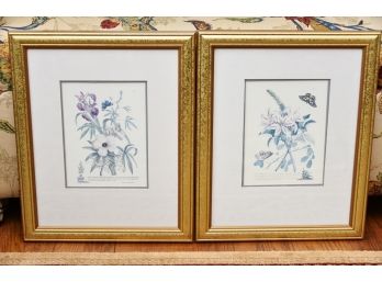 Botanical Prints Framed 13 X 16