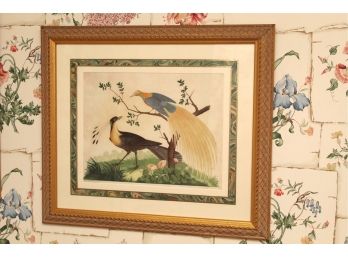 Carlo Antonio Ranieri Lyre Birds Watercolor Print Framed And Matted 20 X 23