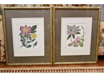 Botanical Prints Framed 17 X 21