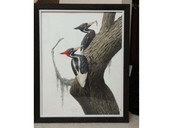Woodpecker Signed 26 X 32