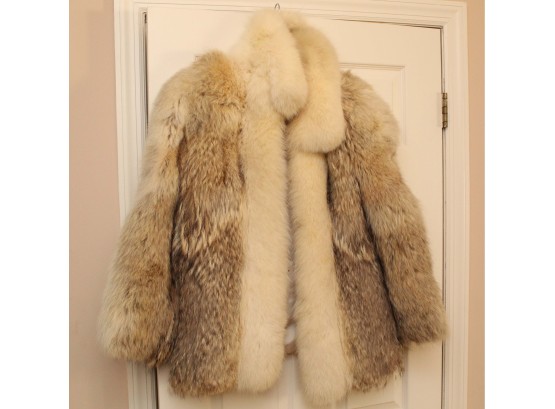 Coyote Fur Coat With Fox Collar 42' Sweep (Read Description)