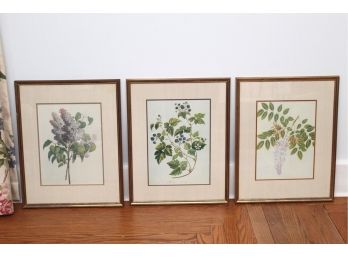 Trio Of Floral Framed Prints 15 X 19