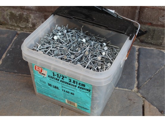 Large Box Of Assorted Nails