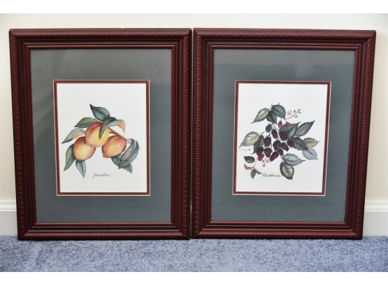 Pair Of Framed Fruit Prints 13 X 16