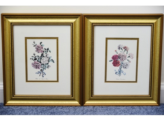 Pair Of Small Framed Fruit Prints 10 1/2 X 12 1/2