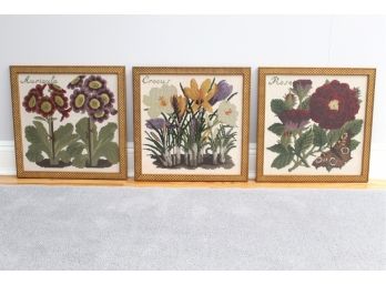 Botanical Cross Stitch Trio Including Auricula, Crocus, And Rose 18 X 18