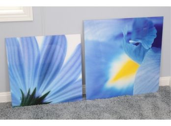 Two Large Beautiful Blue Flower Fracture Glass Prints - 36 X 36 & 30 X 30