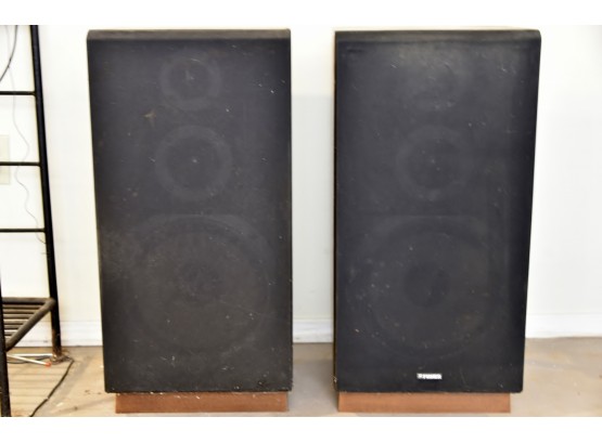 Fisher DS 825 Floor Speakers