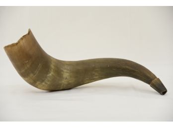 Vintage Horn Shofar