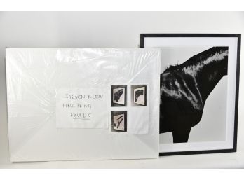 Steven Klein Horse Neck Art With 3 Additional Original Final Works