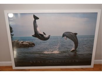 Framed Synchronicity Dolphin Print  37x26