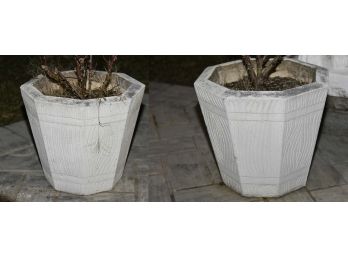 Pair Of Concrete Flower Pots