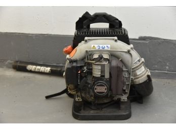 Echo Backpack Gas Powered Blower