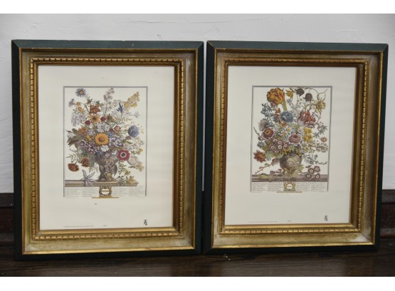 Pair Of Framed Floral Prints