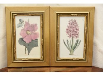 Pair Of Flower Prints T. Edwards (#51)
