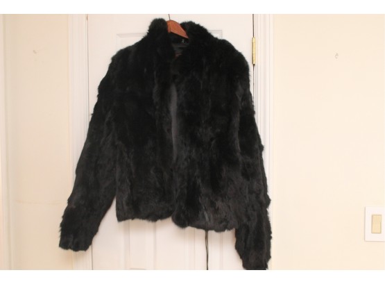 Mink Fur Coat #4