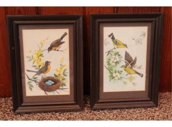 Pair Of Framed Bird Prints