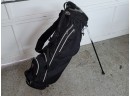 Grouo Of Vintage Women's Golf Clubs With Stand Bag
