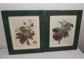Pair Of Strawberry Botanical Prints Signed