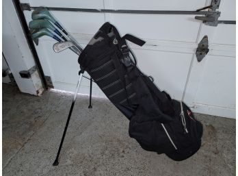 Grouo Of Vintage Women's Golf Clubs With Stand Bag