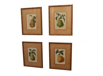 A Grouping Of Four Fruit Prints