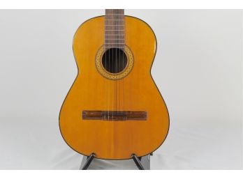 Southwestern Acoustic Guitar