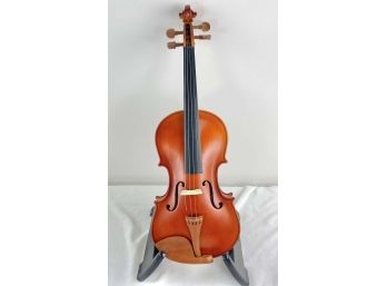 Violin With Additional Strings And Case