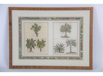 Botanical Print Framed (2 Of 2)