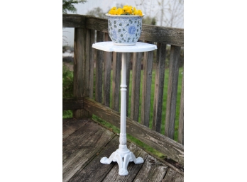 Plant Stand With Plant In Blue & White Vase