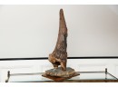 Triceratops Orbital Horn On Granite Stone Base - Authentic  Museum Quality