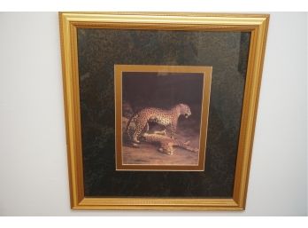 A Framed Print Of 2 Leopards
