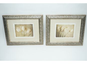 Framed Pair Of Prints 'tulip'