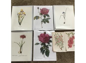 Flower Prints Collection Various Artist