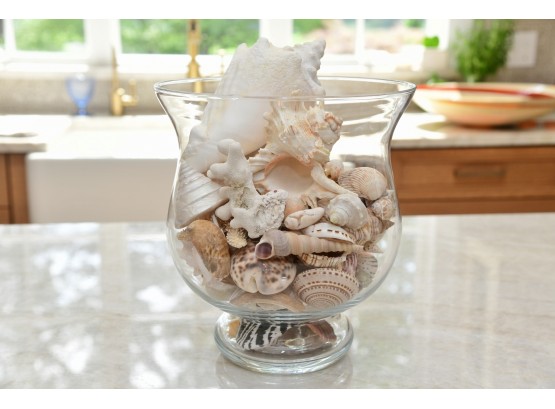 Large Glass Bowl Of Shells & Other Assorted Sea Life Collectibles