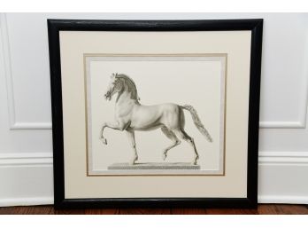 Framed Prancing Horse Print