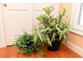 A Pair Of Decorative Faux Plants In Wicker Pots