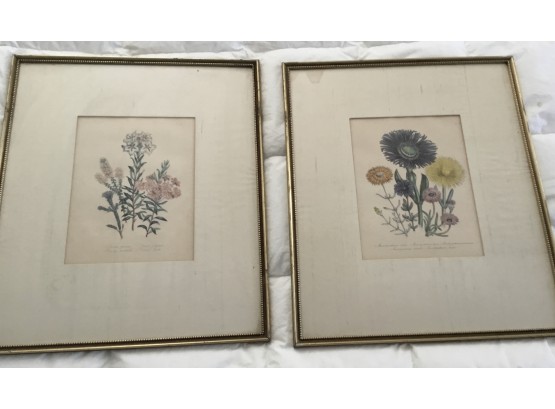 Pair Of Vintage Botanical Prints Matted And Framed