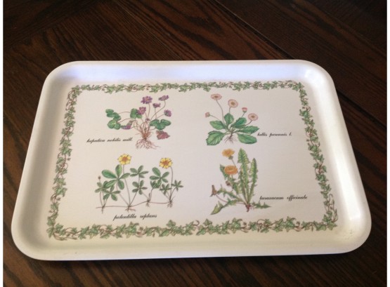 Plastic Serving Tray From Italy