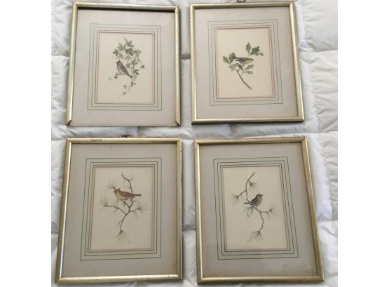 Set Of Four Framed Artwork Of Birds