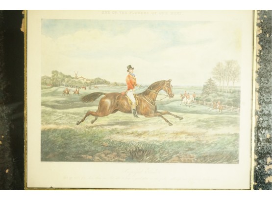 'One Of The Flowers Of Our Hunt' Drawn By H.Alken