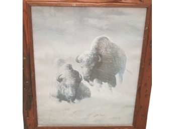 Bison Riding Out The Storm By Edward  Bierly Framed Print