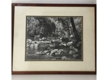 Stream & Forest Framed Picture