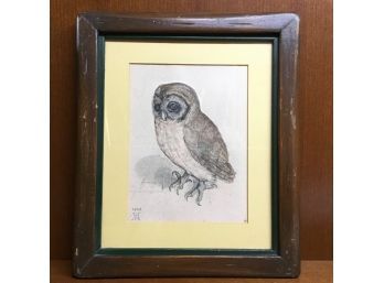 Little Owl By Albrecht Durer