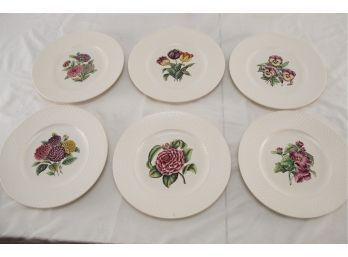 Set Of 6 Copeland Spode Mansard Aster White Dinner Plates