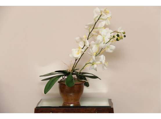 Orchid Centerpiece Display
