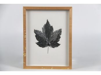 'Sycamore Maple' Staples On Paper By Alison Foshee - 1969