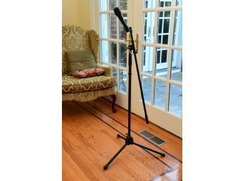 Acesonic Microphone & Stand